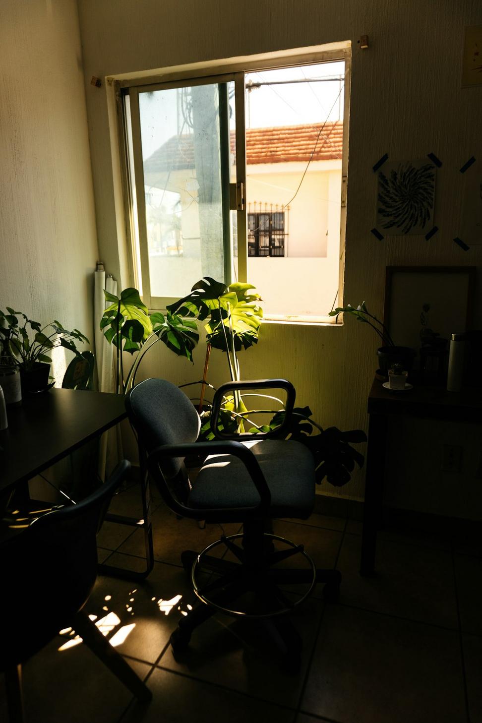 Axiom Legal Offices